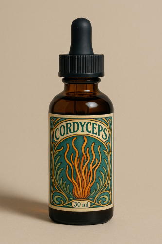 cordyceps.png
