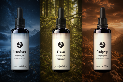 zestaw-ekstraktów-grzybowych-Cordyceps-Lion's-Mane-Chaga